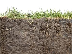 Agricultural soil and the role of implements in its conservation