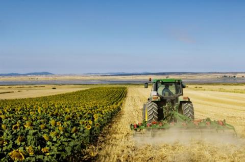 Soil tilling and drought: how to manage in a context of dry soils