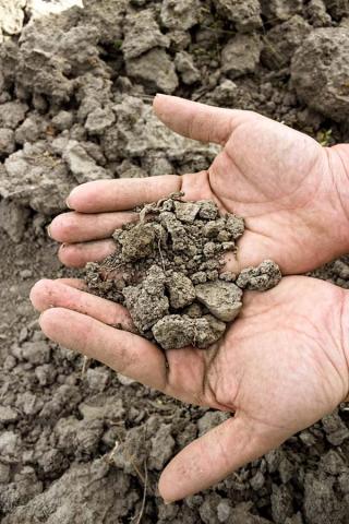 Wie kämpft die Landwirtschaft gegen den Klimawandel?